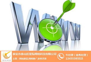 企業品牌建站 企業品牌建站需要注意什么 星際網絡 優質商家