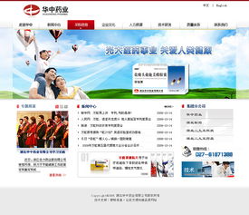 2008年那會企業建站